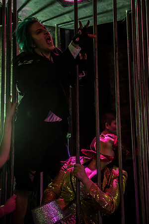 Rocky Horror 2017053